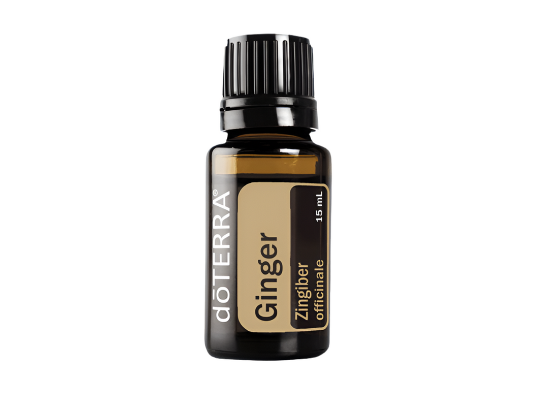 Ginger Essential Oil